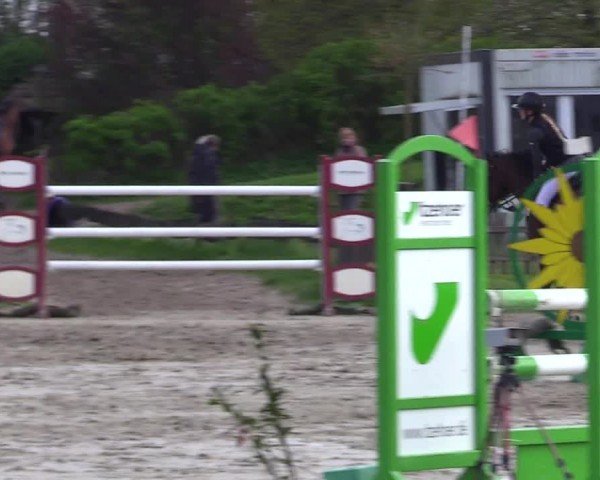 Reitturnier Breiholz "Am Moltkestein" 2024