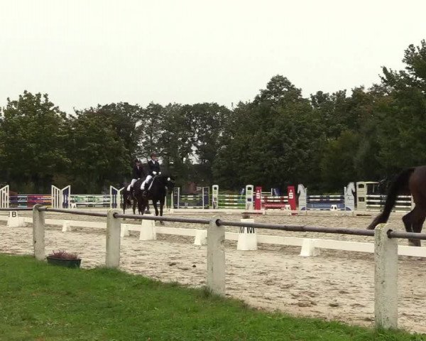 Reitturnier Lüdinghausen 2021