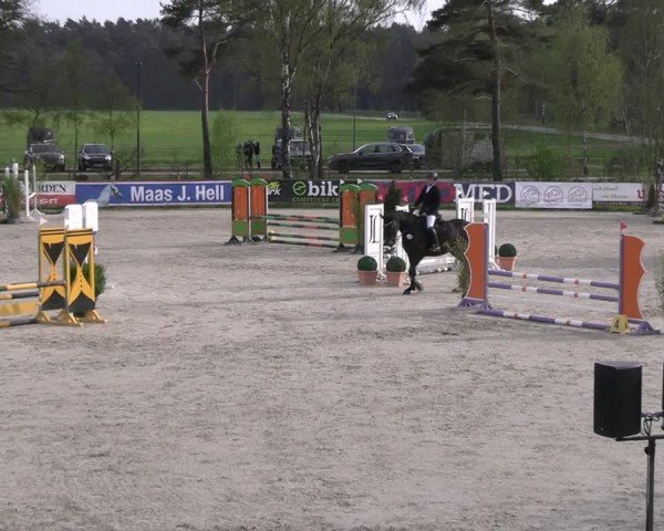 Reitturnier Westergellersen 2024