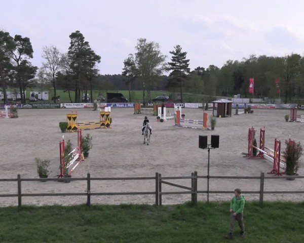 Reitturnier Westergellersen 2024
