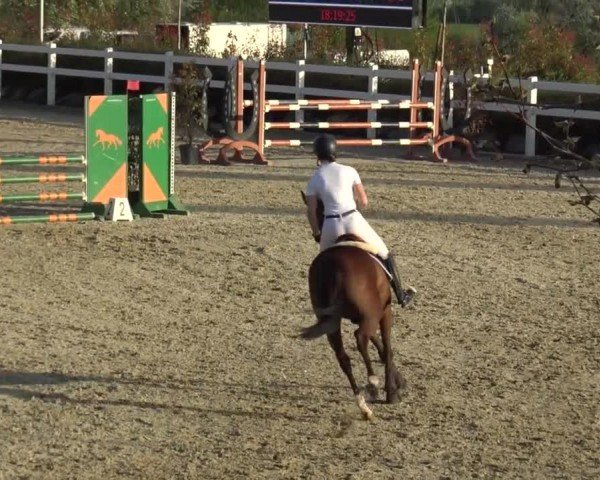 Reitturnier St. Margarethen 2024