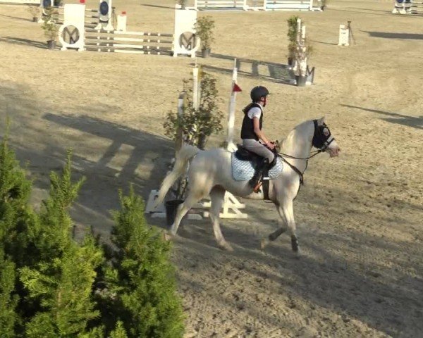 Reitturnier St. Margarethen 2024