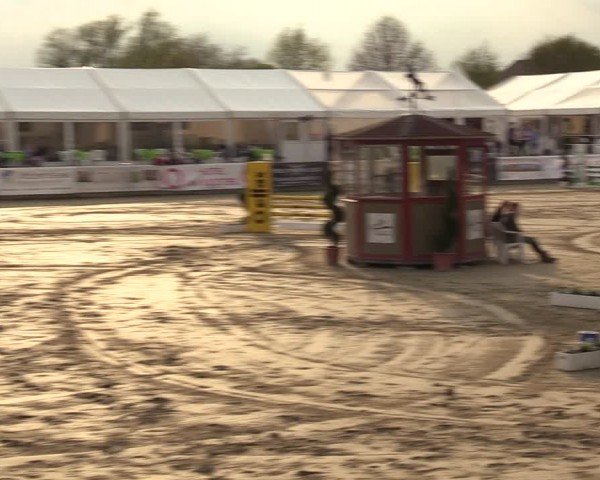 Lenklarer Reitertage Werne 2024