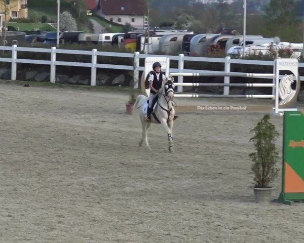 Reitturnier St. Margarethen 2024