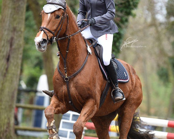 Amelie Trost