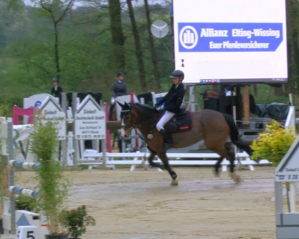 Reitturnier Rhede 2024