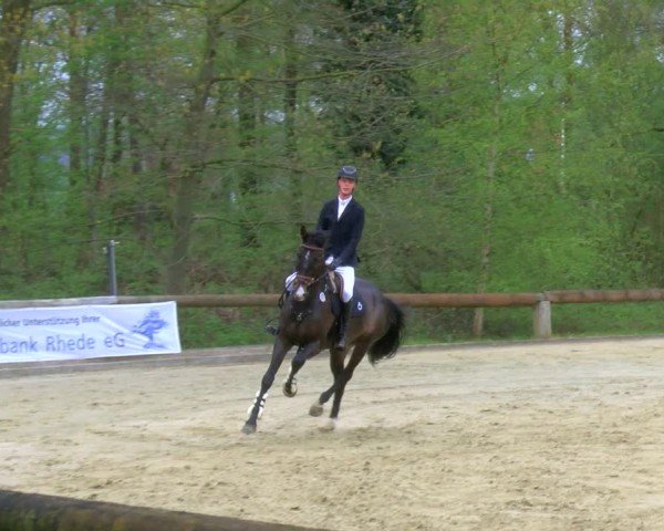 Reitturnier Rhede 2024
