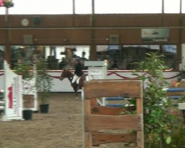 Hallenturnier beim RFV Südlohn-Oeding e.V. 2011