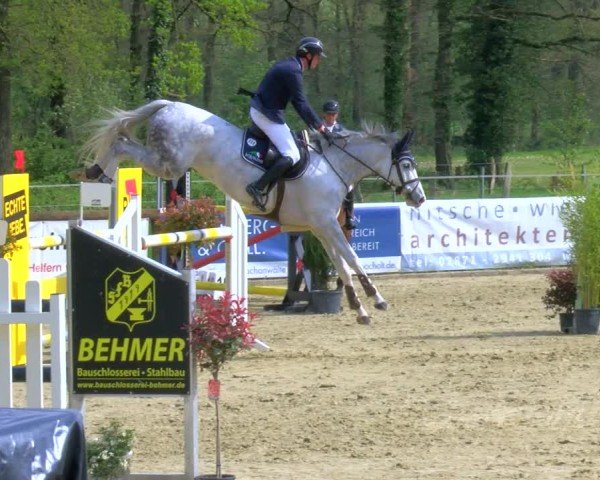 Reitturnier Rhede 2024