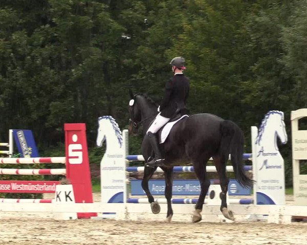Reitturnier Lüdinghausen 2021