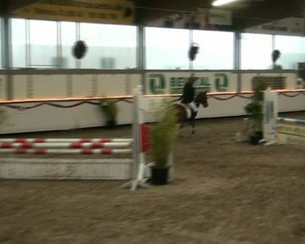 Hallenturnier beim RFV Südlohn-Oeding e.V. 2011