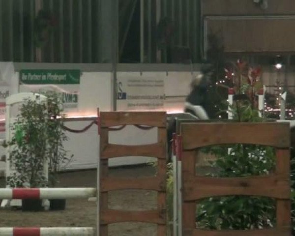 Hallenturnier beim RFV Südlohn-Oeding e.V. 2011