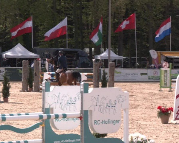 Reitturnier Ranshofen - Braunau am Inn 2024