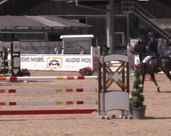 Reitturnier Ranshofen - Braunau am Inn 2024