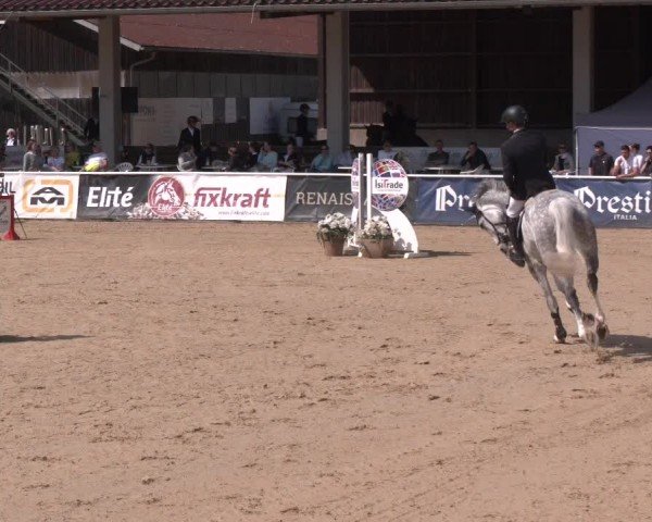 Reitturnier Ranshofen - Braunau am Inn 2024