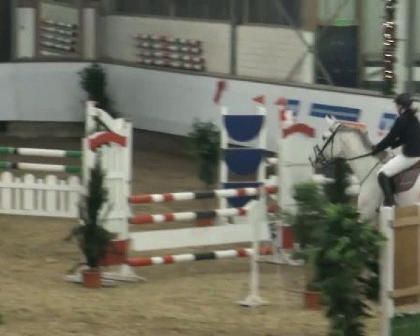 19. Winter Hallen Reit- und Springturnier 2011