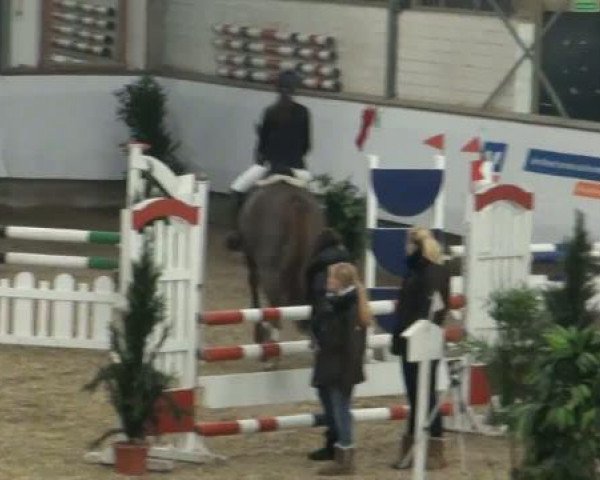 19. Winter Hallen Reit- und Springturnier 2011