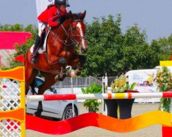 broodmare Evita Sz (KWPN (Royal Dutch Sporthorse), 2009, from Lord Z)