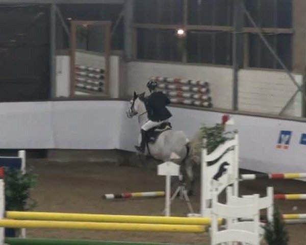 19. Winter Hallen Reit- und Springturnier 2011