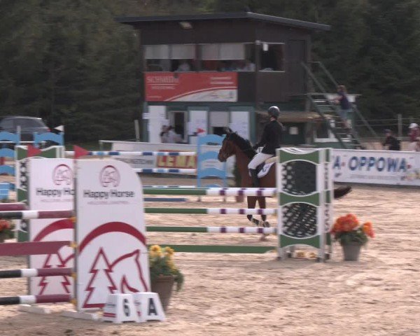 Reitturnier Ranshofen - Braunau am Inn 2024