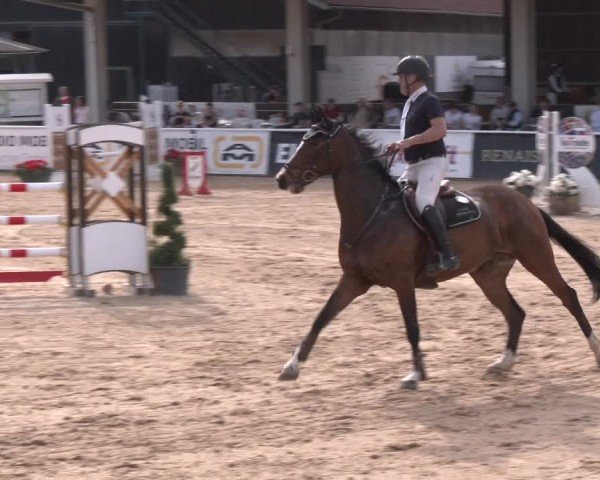 Reitturnier Ranshofen - Braunau am Inn 2024