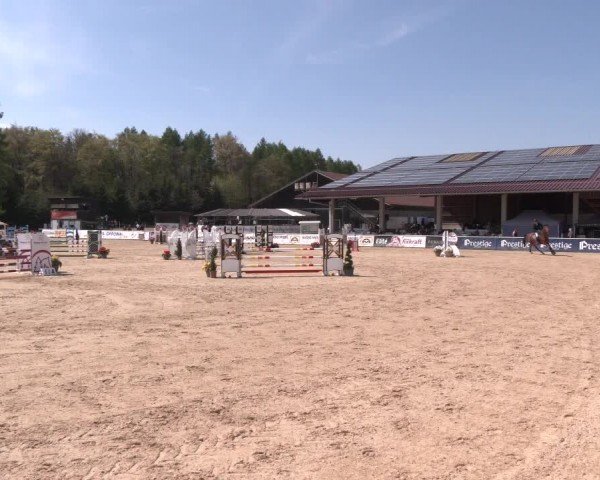 Reitturnier Ranshofen - Braunau am Inn 2024