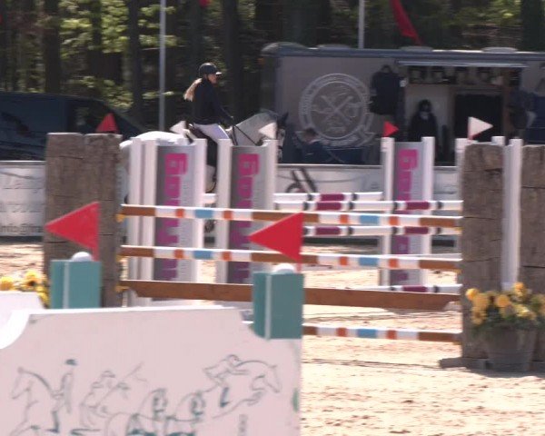 Reitturnier Ranshofen - Braunau am Inn 2024