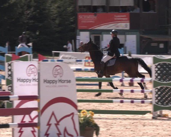Reitturnier Ranshofen - Braunau am Inn 2024