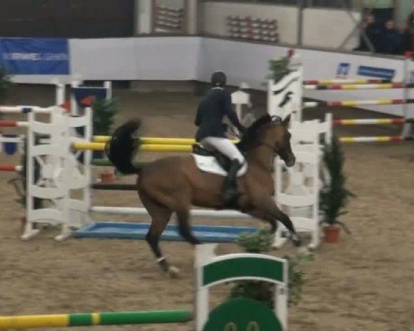 19. Winter Hallen Reit- und Springturnier 2011