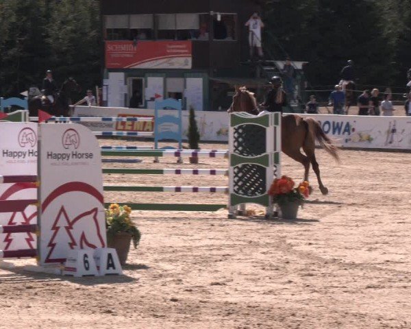 Reitturnier Ranshofen - Braunau am Inn 2024