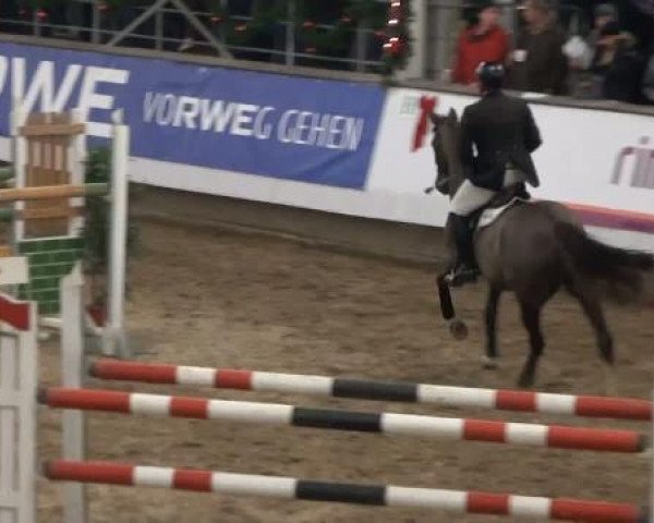19. Winter Hallen Reit- und Springturnier 2011