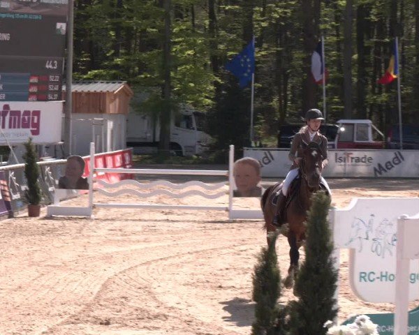 Reitturnier Ranshofen - Braunau am Inn 2024