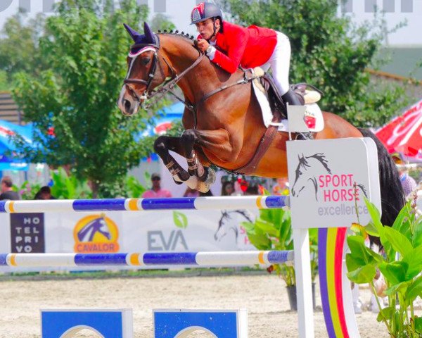 jumper Silverado (KWPN (Royal Dutch Sporthorse), 2002, from Orlando van de Heffinck)