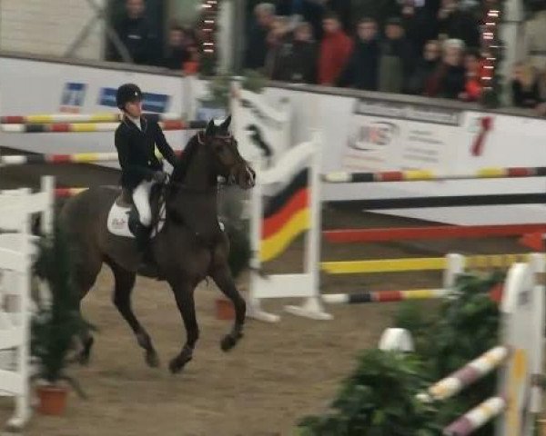 19. Winter Hallen Reit- und Springturnier 2011