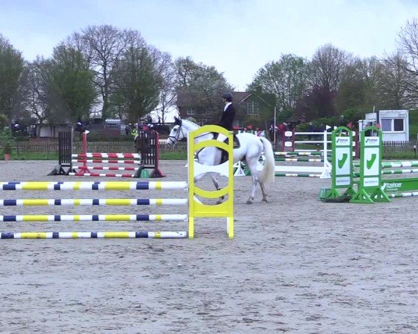 Reitturnier Breiholz "Am Moltkestein" 2024