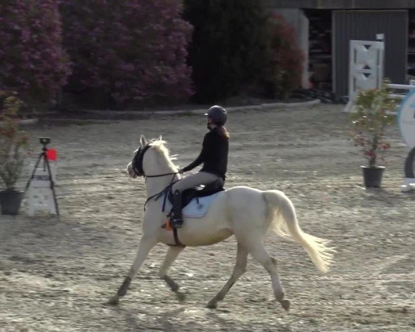Reitturnier St. Margarethen 2024