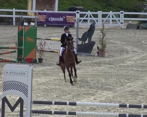 Reitturnier St. Margarethen 2024