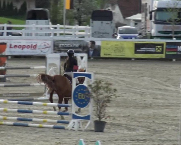 Reitturnier St. Margarethen 2024