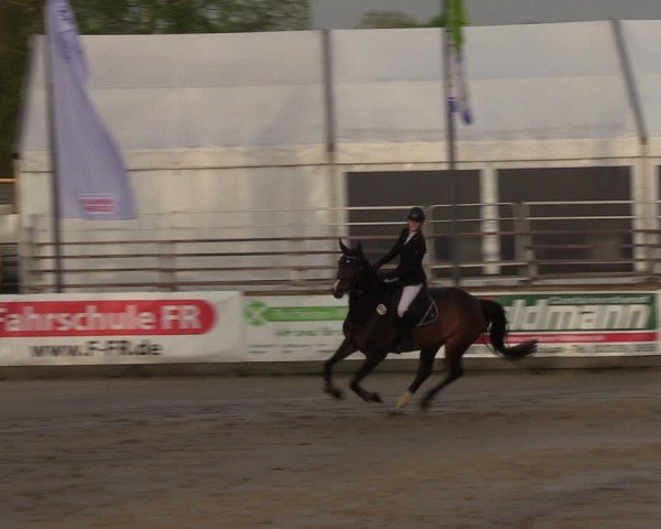 Reitturnier Werne-Lenklar 2024