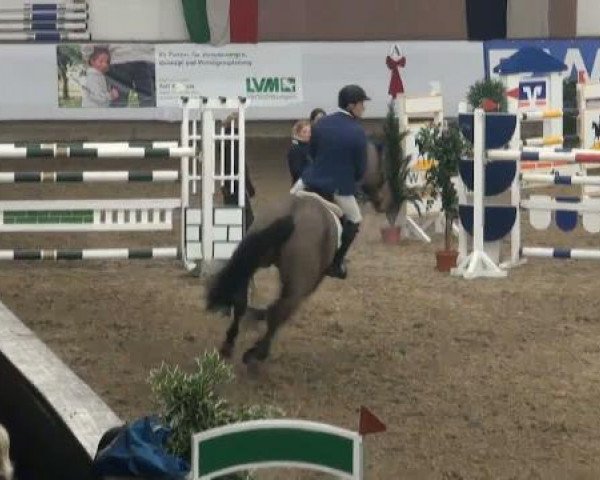 19. Winter Hallen Reit- und Springturnier 2011