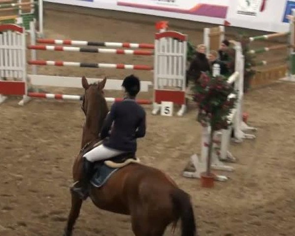 19. Winter Hallen Reit- und Springturnier 2011