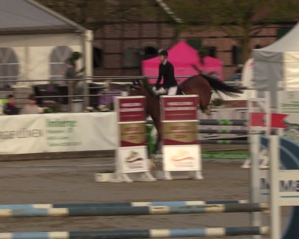 Lenklarer Reitertage Werne 2024