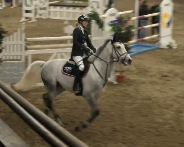 19. Winter Hallen Reit- und Springturnier 2011