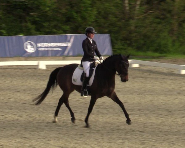 Reitturnier Elmlohe 2024
