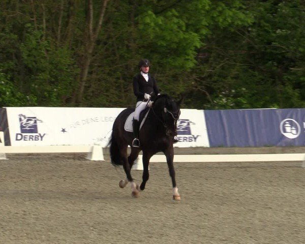 Reitturnier Elmlohe 2024
