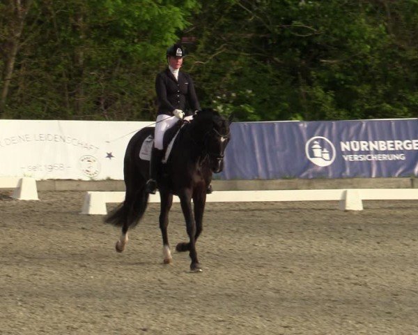 Reitturnier Elmlohe 2024