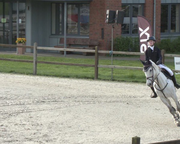 Reitturnier Westergellersen 2024