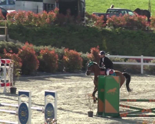 Reitturnier St. Margarethen 2024