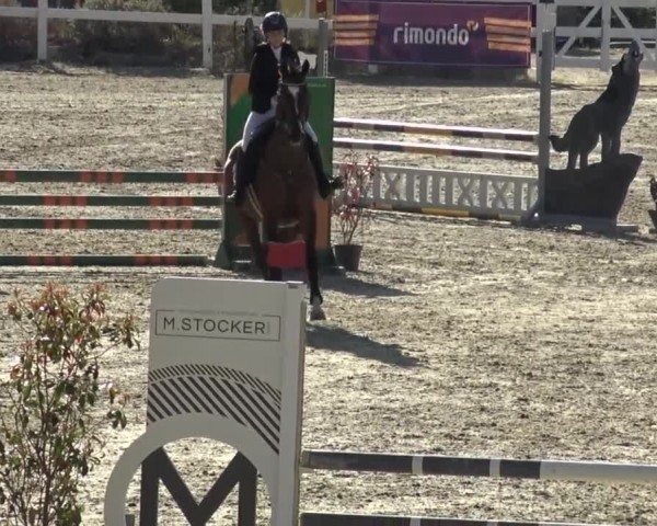 Reitturnier St. Margarethen 2024