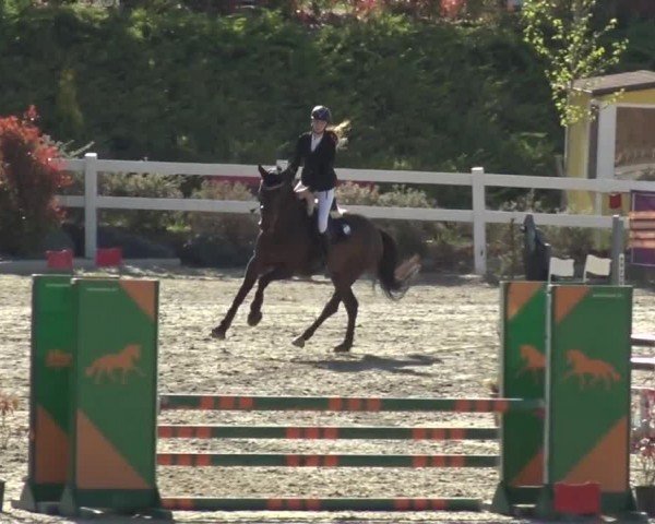 Reitturnier St. Margarethen 2024